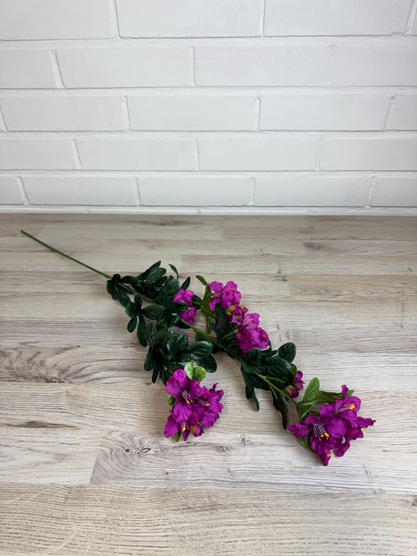 Bougainvillea tekokukkaoksa, fuksia