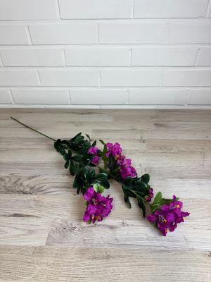 Bougainvillea tekokukkaoksa, fuksia
