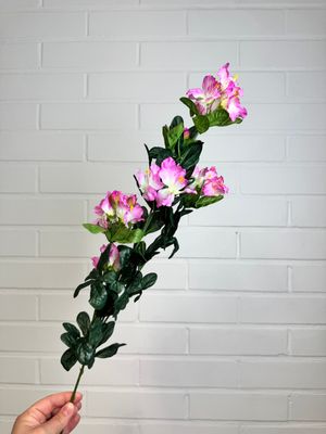 Bougainvillea tekokukkaoksa, vaaleanpunainen