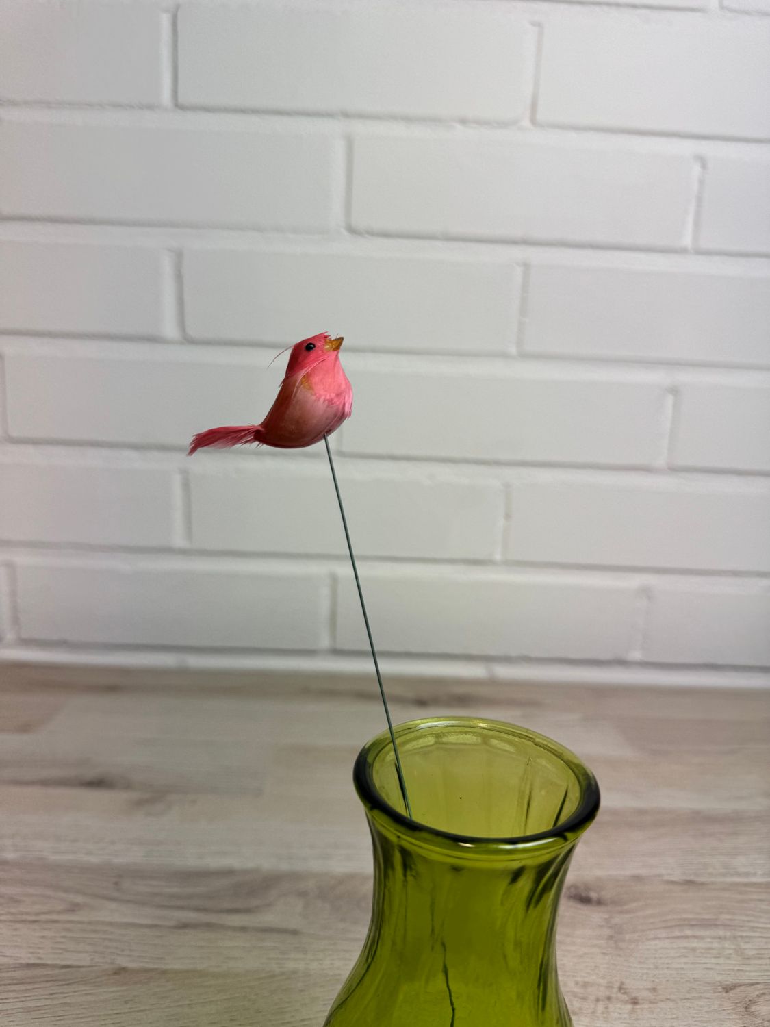 Koristelintu, punainen