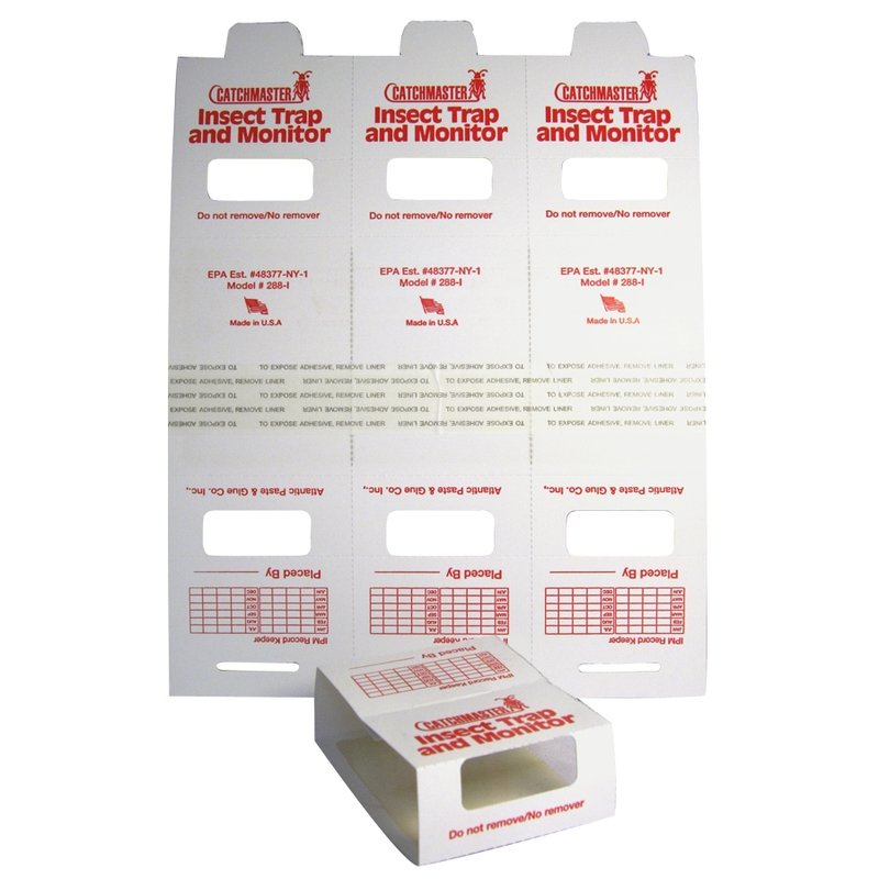 Cockroach Glue Traps