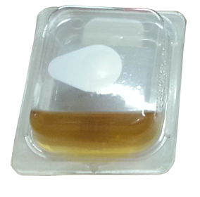 The best Fruit Fly Trap