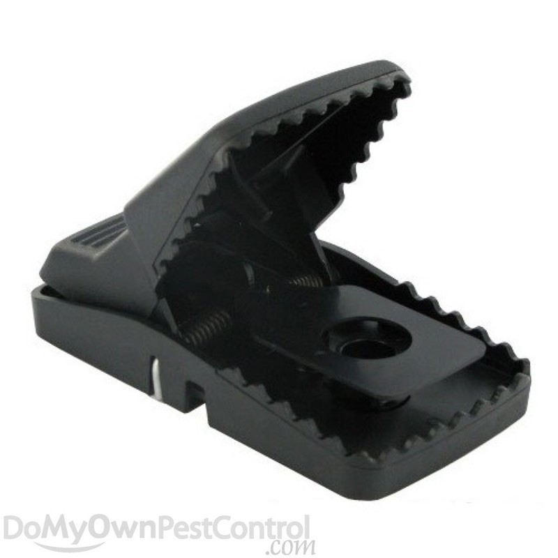 T- Rex Rat Trap (4 Pack)