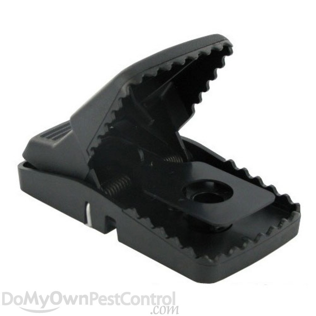 The Best Rat Trap: The Trapper T- Rex Rat Trap (4 Pack)