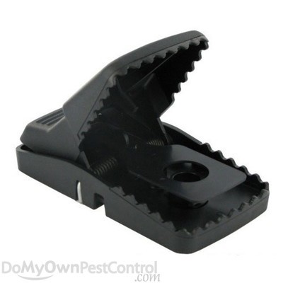 The Best Rat Trap: The Trapper T- Rex Rat Trap (4 Pack)