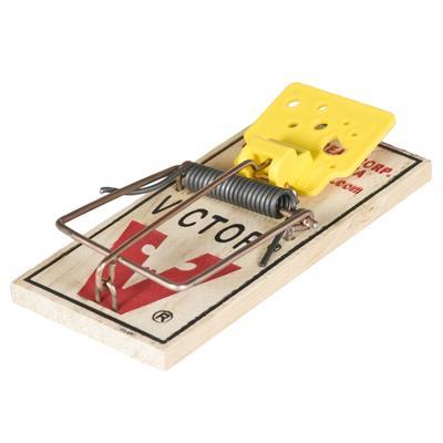 Easy Set Mouse Trap - 6 Pack