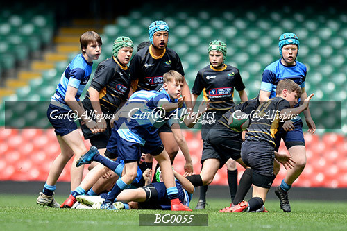Ysgol Glantaf v  Ysgol y Gwyr