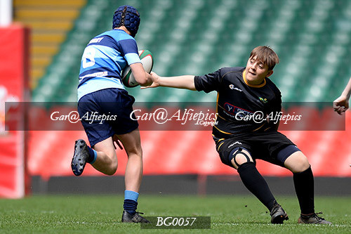 Ysgol Glantaf v  Ysgol y Gwyr