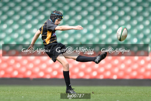 Ysgol Glantaf v  Ysgol y Gwyr