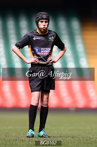 Ysgol Glantaf v  Ysgol y Gwyr
