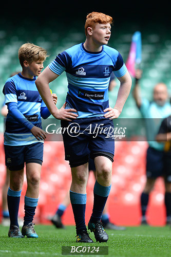 Ysgol Glantaf v  Ysgol y Gwyr