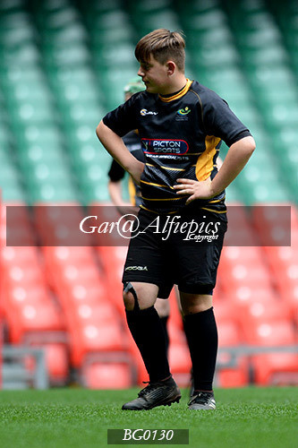 Ysgol Glantaf v  Ysgol y Gwyr