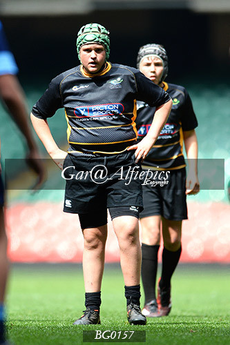 Ysgol Glantaf v  Ysgol y Gwyr