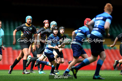 Ysgol Glantaf v  Ysgol y Gwyr