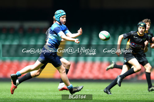 Ysgol Glantaf v  Ysgol y Gwyr
