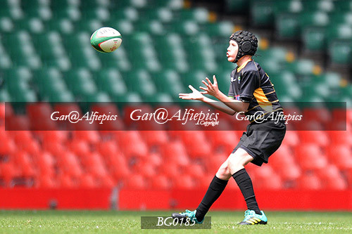Ysgol Glantaf v  Ysgol y Gwyr