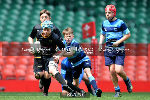 Ysgol Glantaf v  Ysgol y Gwyr