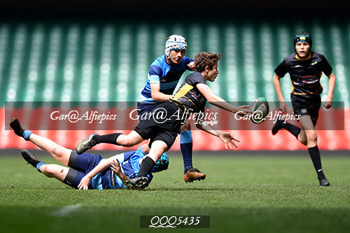 Ysgol Glantaf v  Ysgol y Gwyr
