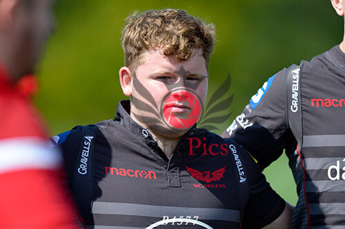 Scarlets East/West U16&#39;s Gloucester Rugby Festival
