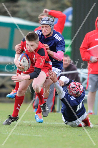 Welsh Celts U16&#39;s v France A U16&#39;s