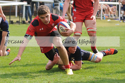Wales Celts v Scotland