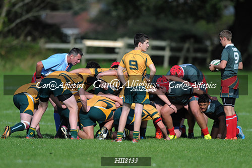 Ysgol Y Strade v Ysgol Dyffryn Aman