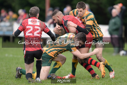 Penybanc RFC v Old Illtydians RFC