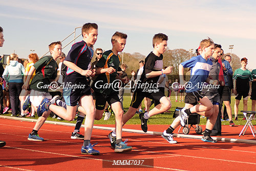 Carmarthen Harriers Inter School&#39;s Relay/800m Event