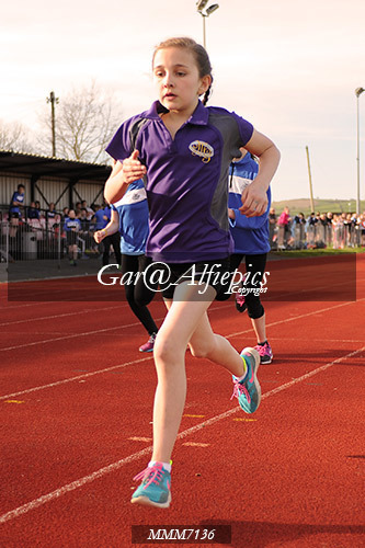 Carmarthen Harriers Inter School&#39;s Relay/800m Event