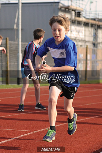 Carmarthen Harriers Inter School&#39;s Relay/800m Event