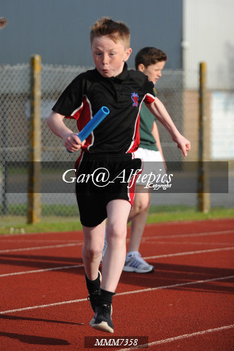 Carmarthen Harriers Inter School&#39;s Relay/800m Event