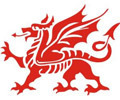 Cwmllynfell RFC v Brynamman RFC, Brains SA Bowl Final - 28/05/2016