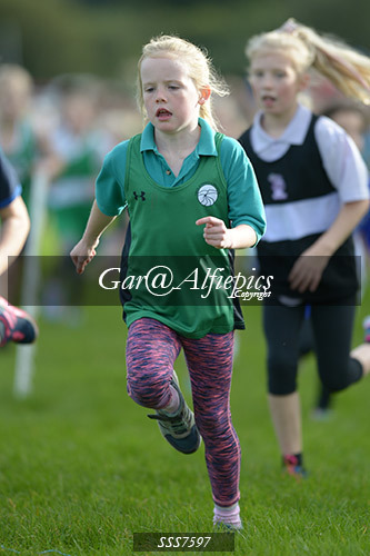 Year Three Girls Cross Country