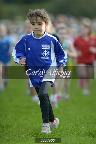 Year Three Girls Cross Country