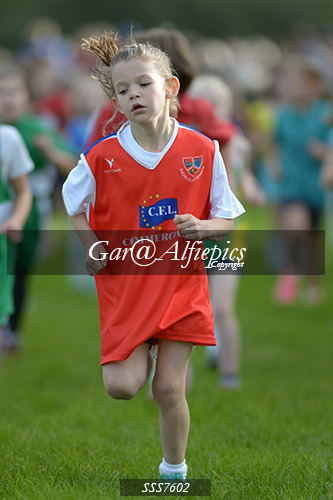 Year Three Girls Cross Country