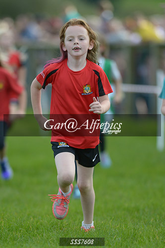 Year Three Girls Cross Country