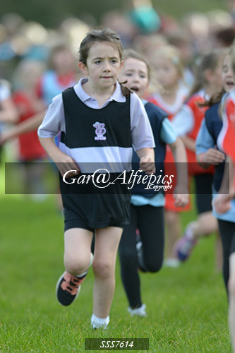 Year Three Girls Cross Country