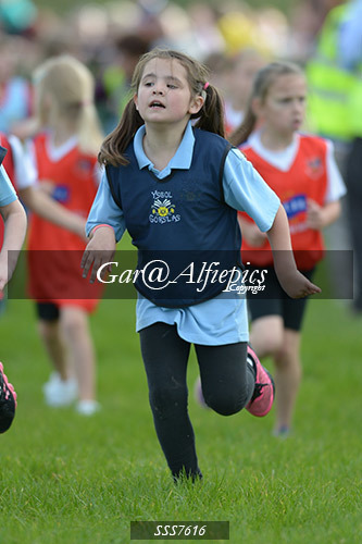 Year Three Girls Cross Country