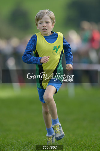Year Four Girls Cross Country