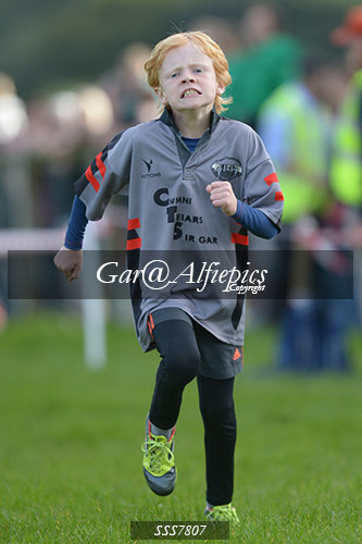 Year Four Girls Cross Country
