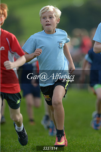 Year Four Girls Cross Country