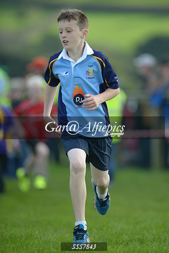 Year Four Girls Cross Country