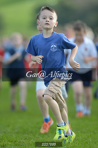 Year Four Girls Cross Country