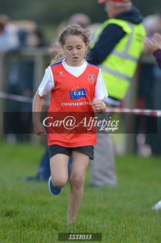 Year Four Girls Cross Country