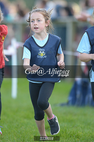 Year Four Girls Cross Country