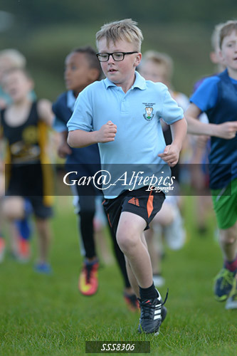 Year Five Boys Cross Country