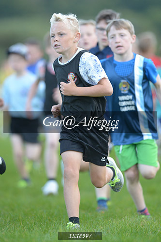 Year Five Boys Cross Country