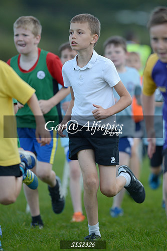 Year Five Boys Cross Country
