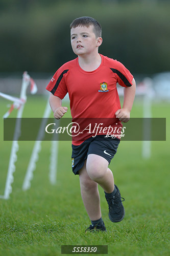 Year Five Boys Cross Country