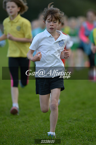 Year Five Girls Cross Country